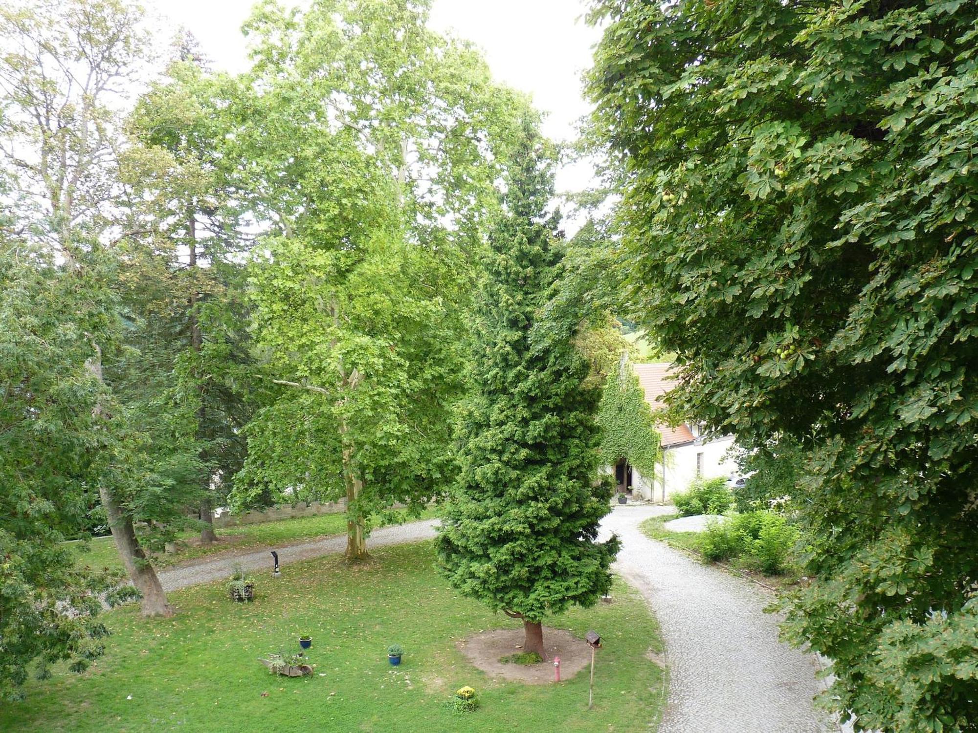 Hotel & Restaurant Schloss Weissenburg Uhlstädt Habitación foto